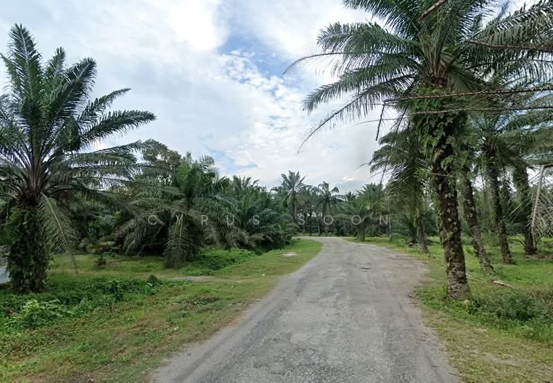 Factory for Rent in Telok Panglima Garang (Selangor) - Cyrus Soon - Exterior - PropertyGuru.com.my