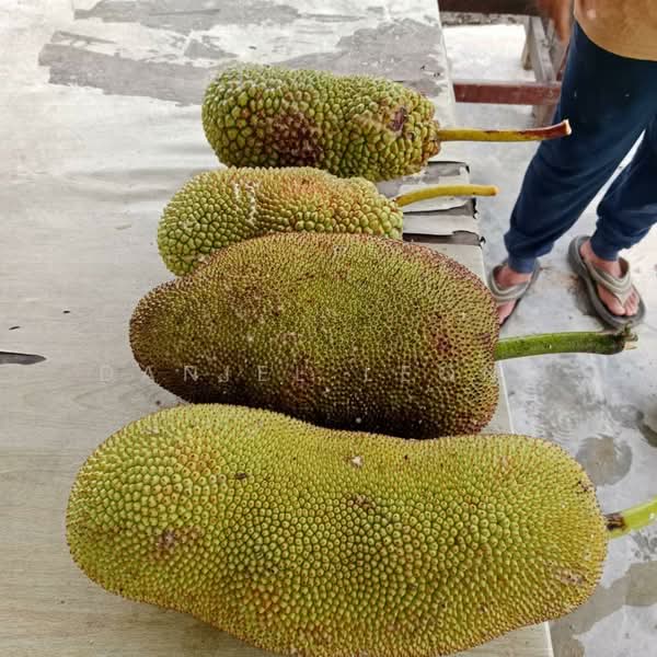 Agricultural Land for Sale in Serendah (Rawang) - Daniel Leong - PropertyGuru.com.my