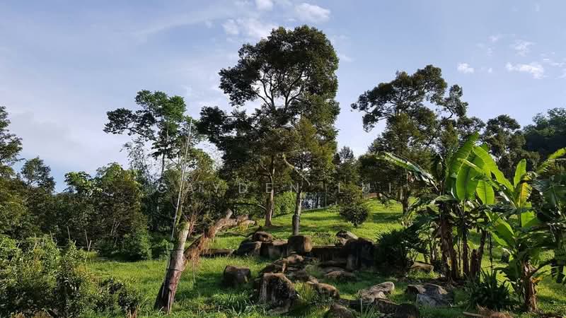 Pahang Durian Investment Farm untuk Untuk Dijual - RM 8,800,000, Mac 2026 - Exterior - PropertyGuru.com.my