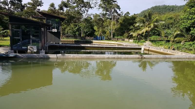 Pahang Durian Investment Farm untuk Untuk Dijual - RM 8,800,000, Mac 2026 - Exterior - PropertyGuru.com.my