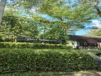 For Sale - Senibong Cove - Hills Residences