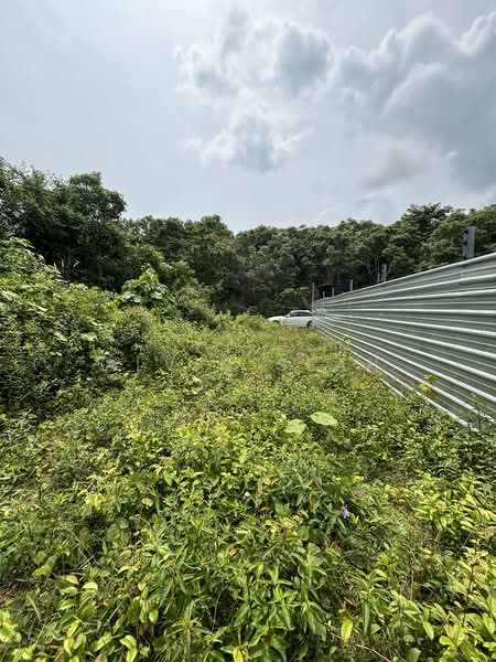 Tanah Pertanian untuk Dijual di Kampung Tampin Ka (Linggi) - Alvin Seah - Exterior - PropertyGuru.com.my