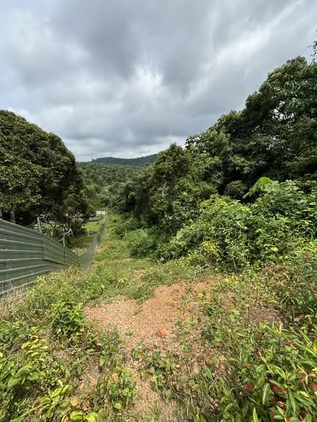 Tanah Pertanian untuk Dijual di Kampung Tampin Ka (Linggi) - Alvin Seah - Exterior - PropertyGuru.com.my