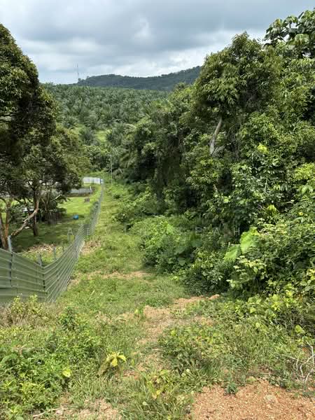 Tanah Pertanian untuk Dijual di Kampung Tampin Ka (Linggi) - Alvin Seah - Exterior - PropertyGuru.com.my