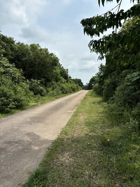 Tanah Pertanian untuk Dijual di Kampung Tampin Ka (Linggi) - Alvin Seah - Exterior - PropertyGuru.com.my