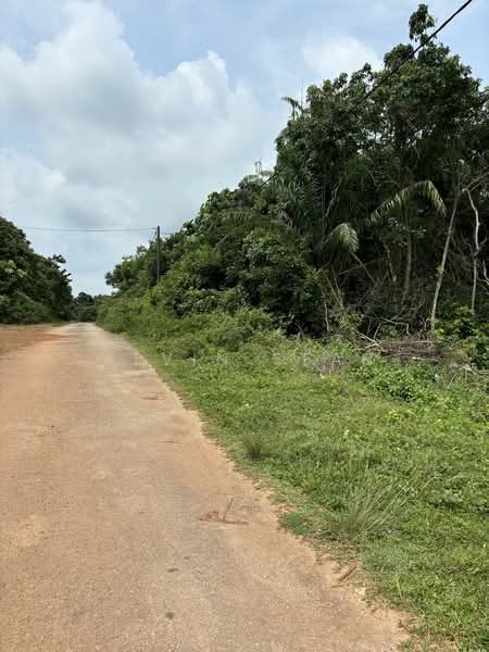 Tanah Pertanian untuk Dijual di Kampung Tampin Ka (Linggi) - Alvin Seah - Exterior - PropertyGuru.com.my