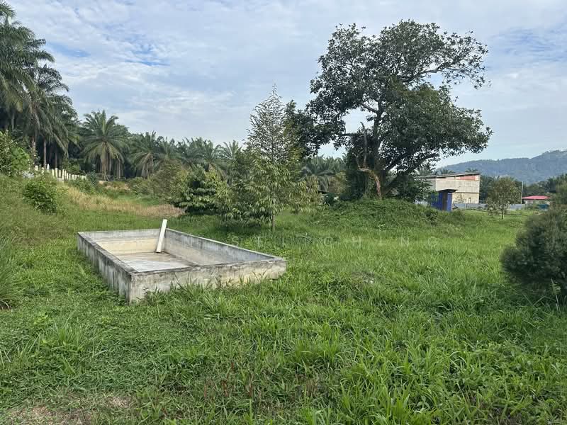 Tanah Pertanian untuk Dijual di Kampung Machap Umboo (Malaka Pindah) - Ching Linn Sei - Exterior - PropertyGuru.com.my