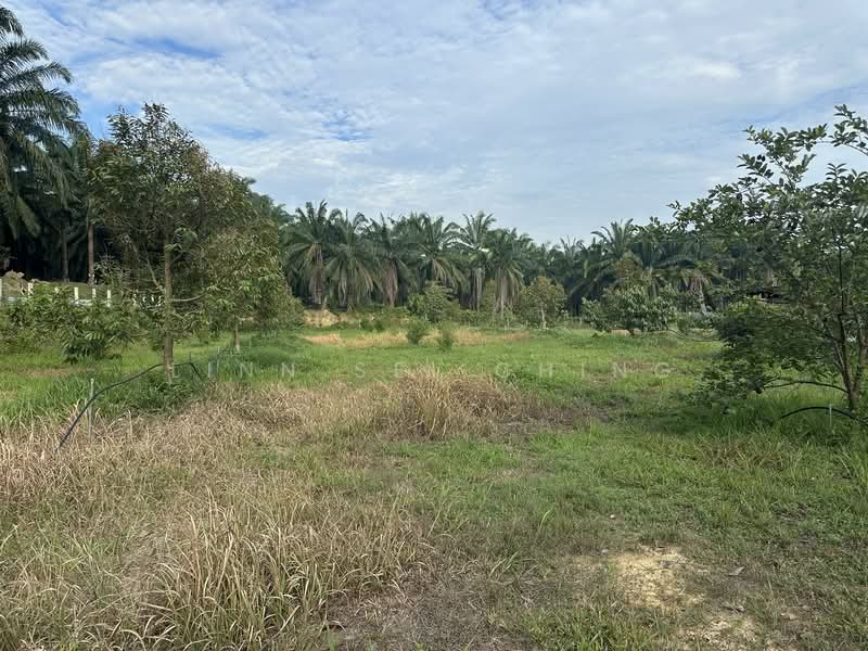 Tanah Pertanian untuk Dijual di Kampung Machap Umboo (Malaka Pindah) - Ching Linn Sei - Exterior - PropertyGuru.com.my