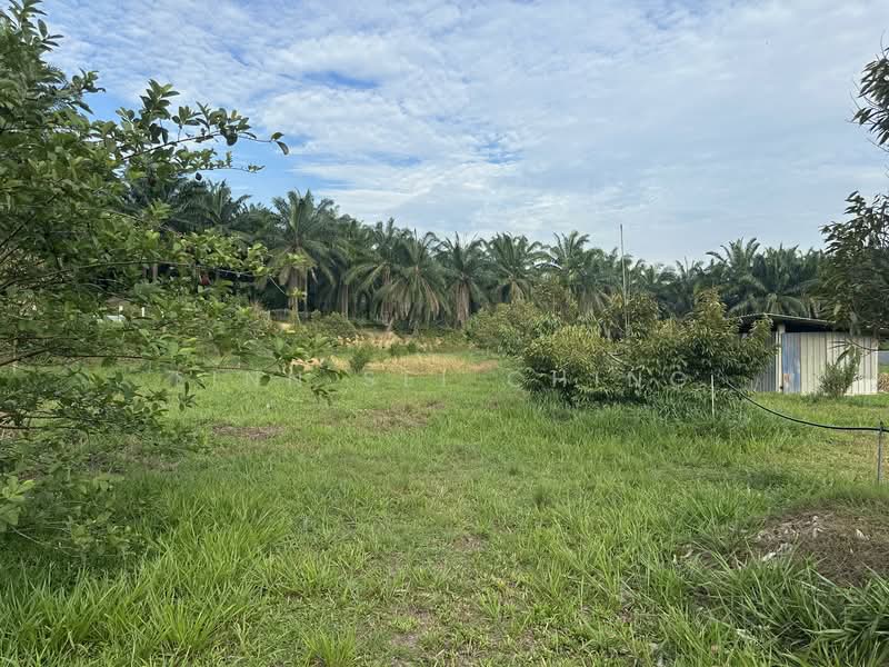 Tanah Pertanian untuk Dijual di Kampung Machap Umboo (Malaka Pindah) - Ching Linn Sei - Exterior - PropertyGuru.com.my