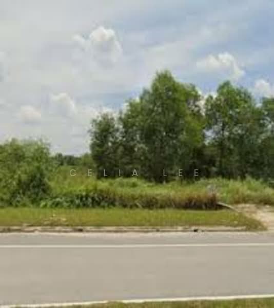Industrial Land for Sale in Sungai Kapar Indah Industrial Park (Kapar) - Celia Lee - Exterior - PropertyGuru.com.my