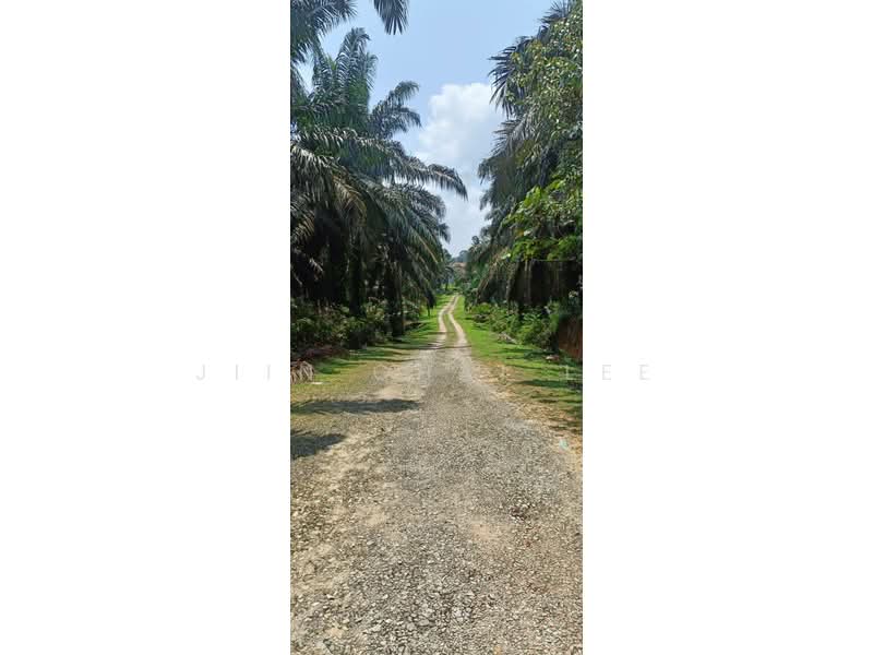 Felda Taib Andak untuk Untuk Dijual - RM 3,600,000, Mac 2026 - Exterior - PropertyGuru.com.my