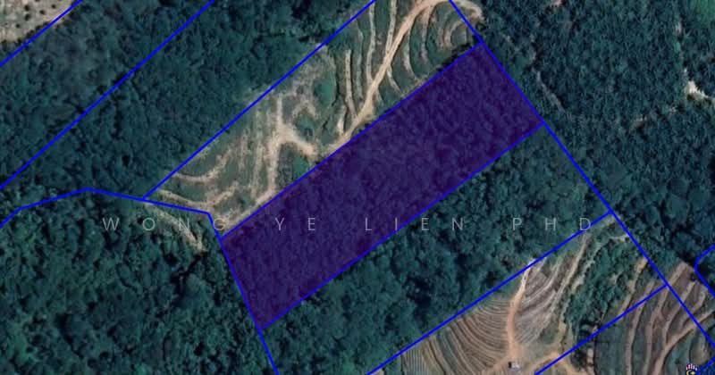Untuk Dijual Fruit Farm Land. 3.59 ac, off Jalan Kenari 1, Bandar Baru Lembah Beringin, 44100 Lembah Beringin, Se
