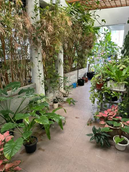 Rumah Teres 3 Tingkat untuk Dijual di Ampang (Selangor) - Magdalene Alberto - Garden - PropertyGuru.com.my