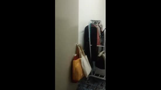 Apartment for Sale at Laman Damai (Li Garden) - Mary Tong - PropertyGuru.com.my