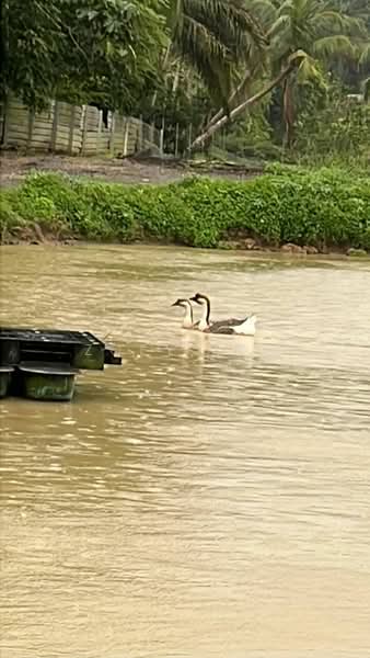 Desa Plentong Industrial Park untuk Untuk Dijual - RM 7,220,070, Mac 2026 - PropertyGuru.com.my