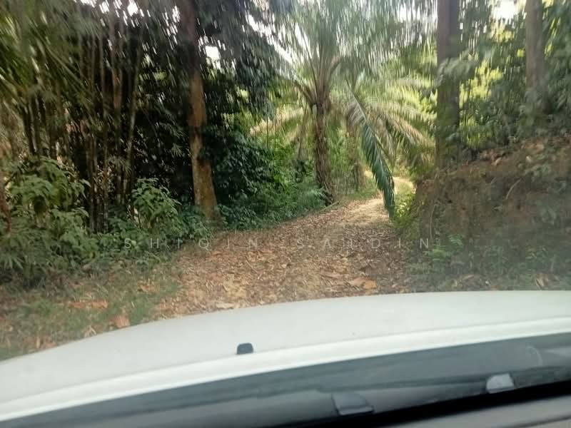 Agricultural Land for Sale in Tanjung Malim (Perak) - Shiqin Saidin - Exterior - PropertyGuru.com.my