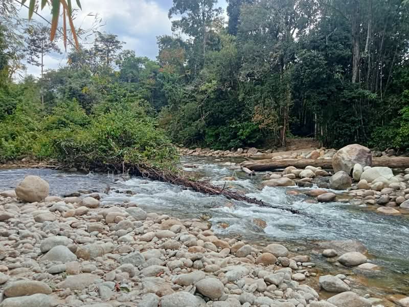 Agricultural Land for Sale in Tanjung Malim (Perak) - Shiqin Saidin - Exterior - PropertyGuru.com.my