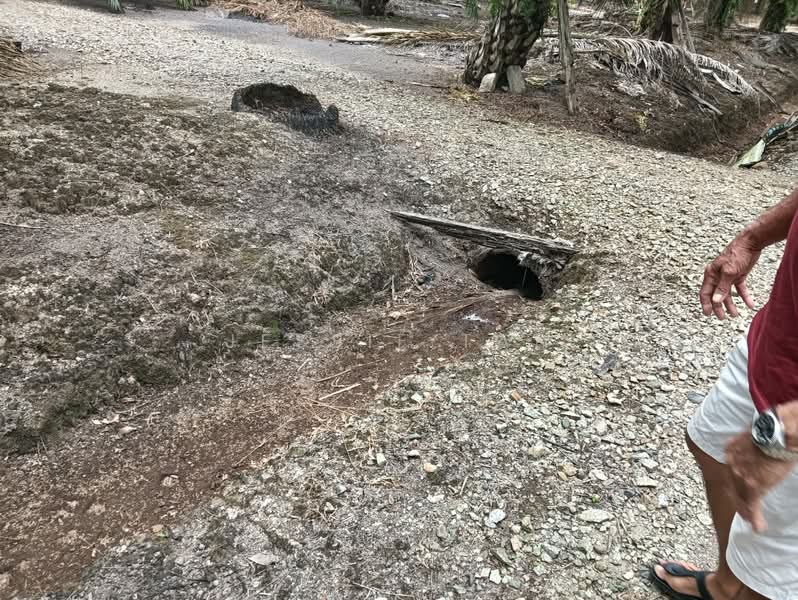 Agricultural Land for Sale in Telok Kerang (Kukup) - Jessie Tan - Exterior - PropertyGuru.com.my