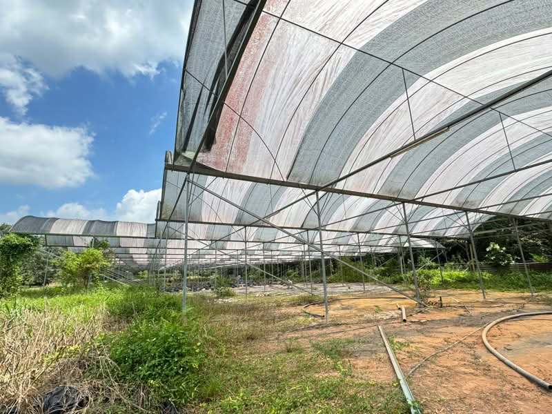 Agricultural Land for Sale in Pekan Nanas (Johor) - Jessie Tan - Exterior - PropertyGuru.com.my