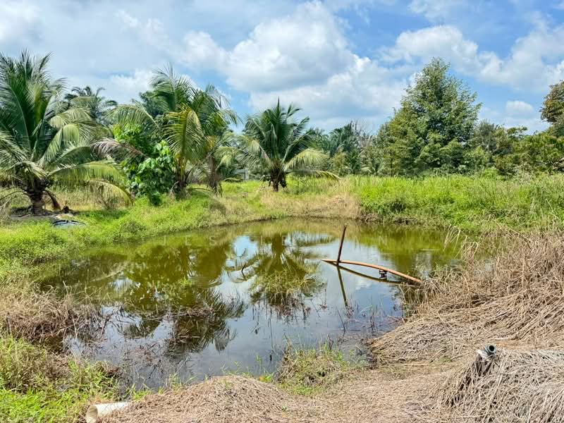 Agricultural Land for Sale in Pekan Nanas (Johor) - Jessie Tan - Garden - PropertyGuru.com.my