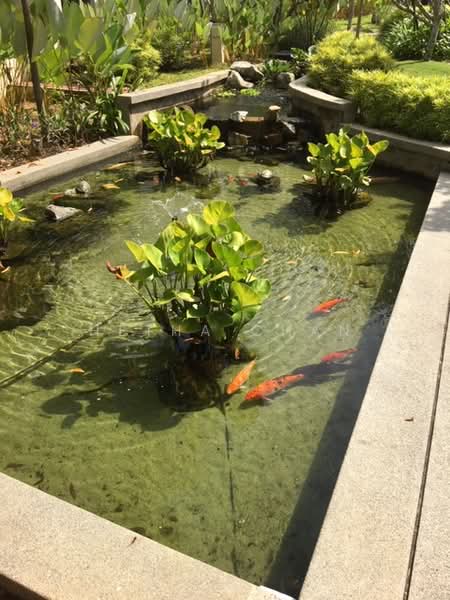 3-storey Terraced House for Sale in Ampang (Selangor) - Hetha Chan - Garden - PropertyGuru.com.my