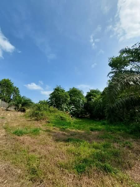 Agricultural Land for Sale in Kota Tinggi (Johor) - Christine Cham - Exterior - PropertyGuru.com.my