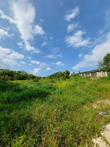 Agricultural Land for Sale in Kota Tinggi (Johor) - Christine Cham - Exterior - PropertyGuru.com.my