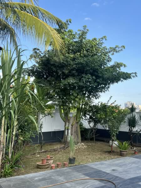 Bungalow for Sale in Sierramas (Sungai Buloh) - Janice Ng - Garden - PropertyGuru.com.my
