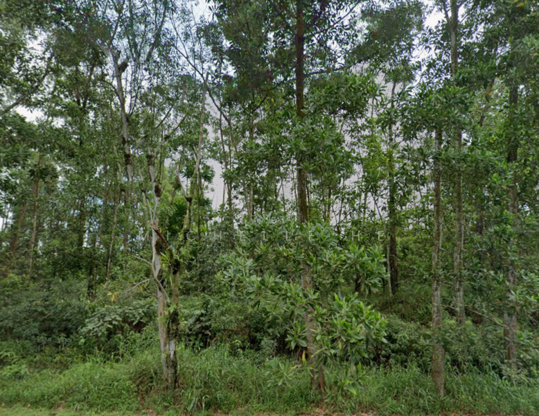 Industrial Land for Sale in Permas Jaya (Johor Bahru) - Michelle He - Exterior - PropertyGuru.com.my