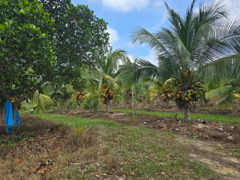 Agricultural Land for Sale in Jasin (Melaka) - jack loo k f - Exterior - PropertyGuru.com.my