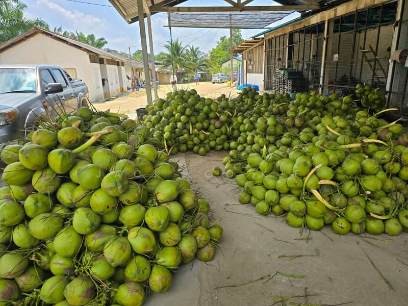 Agricultural Land for Sale in Jasin (Melaka) - jack loo k f - Exterior - PropertyGuru.com.my
