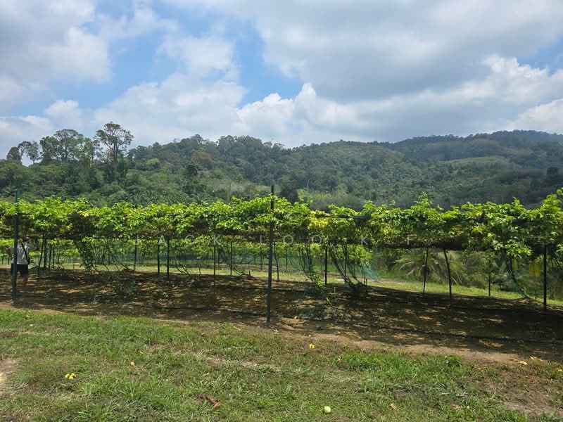 Agricultural Land for Sale in Jasin (Melaka) - jack loo k f - Exterior - PropertyGuru.com.my