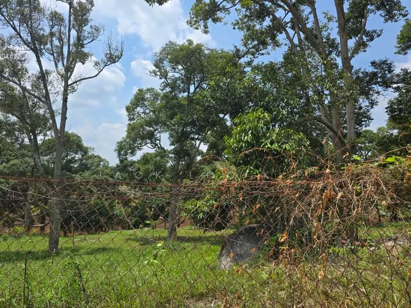 Agricultural Land for Sale in Jasin (Melaka) - jack loo k f - Exterior - PropertyGuru.com.my