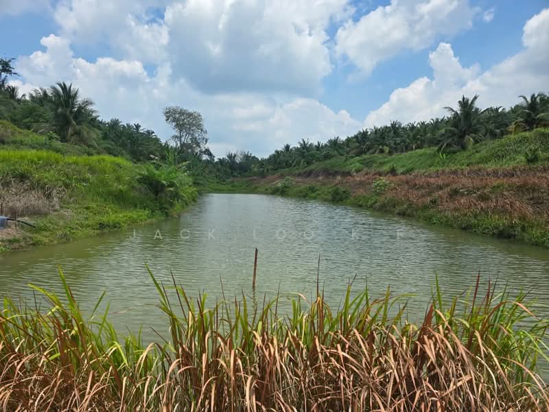 Agricultural Land for Sale in Jasin (Melaka) - jack loo k f - Exterior - PropertyGuru.com.my