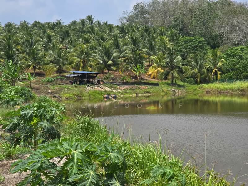 Agricultural Land for Sale in Jasin (Melaka) - jack loo k f - Exterior - PropertyGuru.com.my