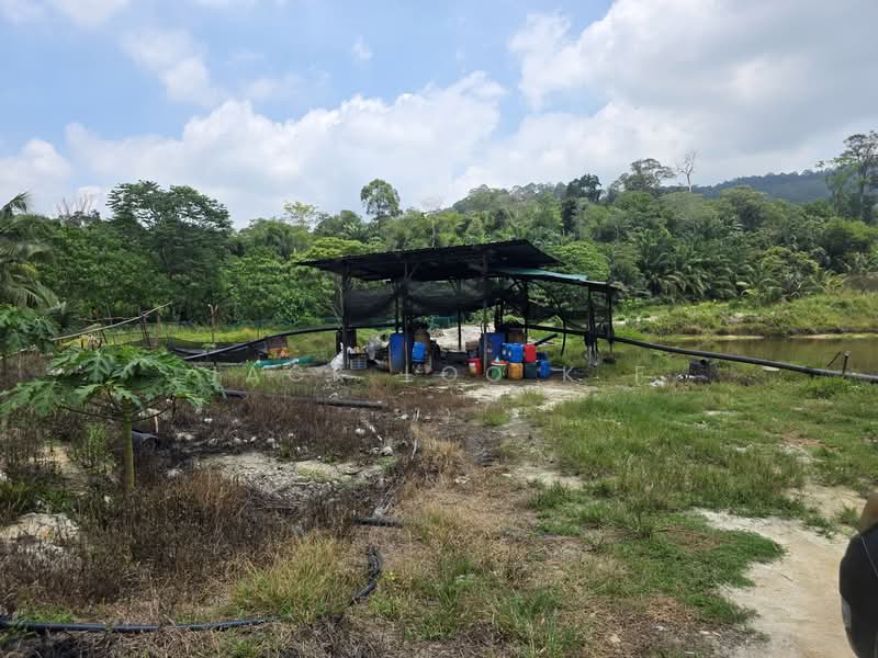 Agricultural Land for Sale in Jasin (Melaka) - jack loo k f - Exterior - PropertyGuru.com.my