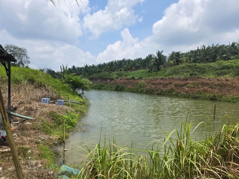 Agricultural Land for Sale in Jasin (Melaka) - jack loo k f - Exterior - PropertyGuru.com.my