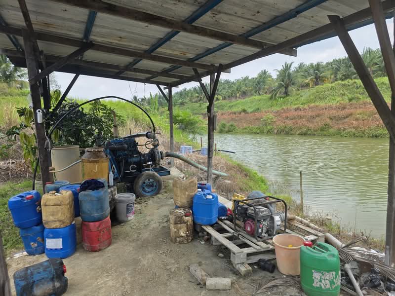 Agricultural Land for Sale in Jasin (Melaka) - jack loo k f - Exterior - PropertyGuru.com.my