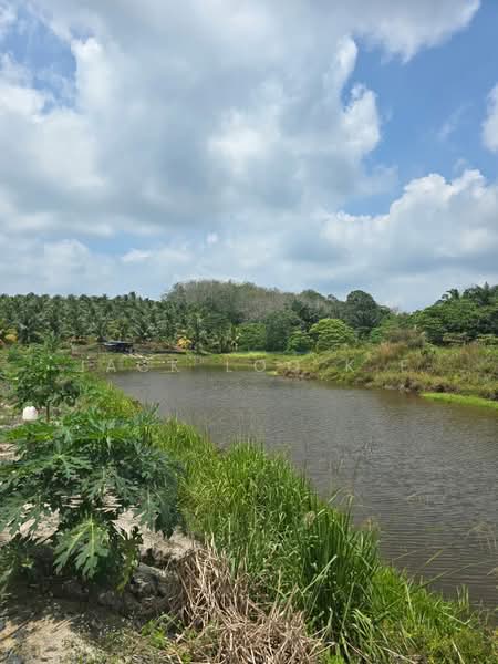 Agricultural Land for Sale in Jasin (Melaka) - jack loo k f - Exterior - PropertyGuru.com.my