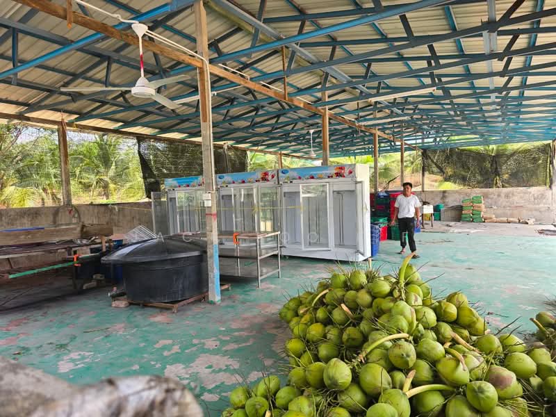 Agricultural Land for Sale in Jasin (Melaka) - jack loo k f - Exterior - PropertyGuru.com.my