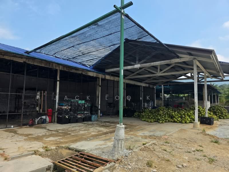 Agricultural Land for Sale in Jasin (Melaka) - jack loo k f - Exterior - PropertyGuru.com.my