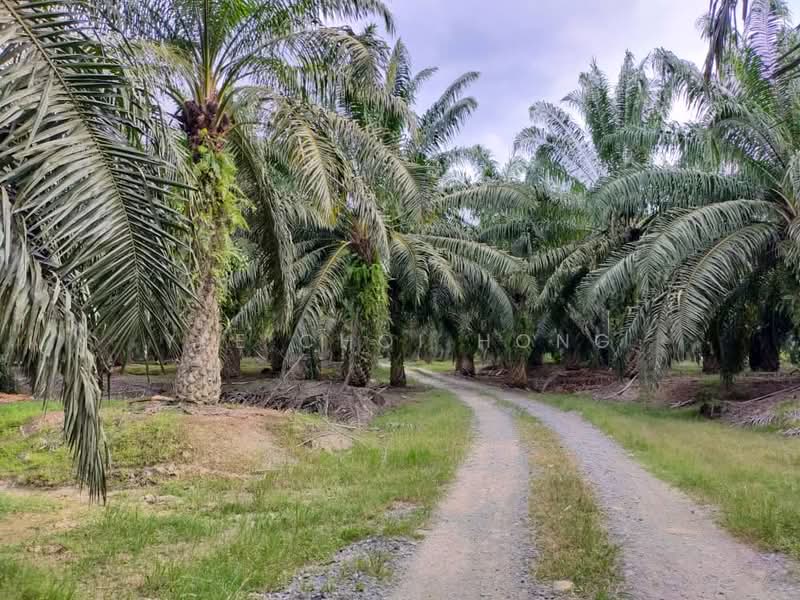 Keratong untuk Untuk Dijual - RM 18,178,560, Apr 2026 - Exterior - PropertyGuru.com.my