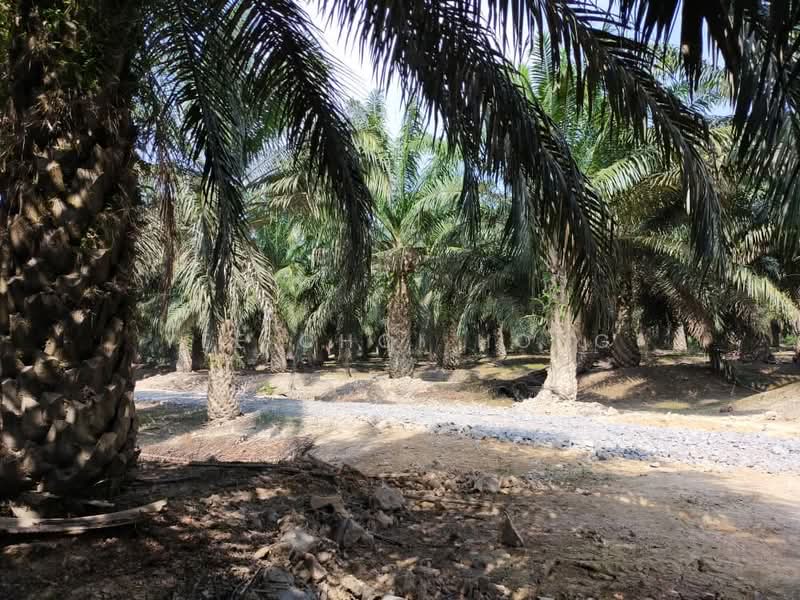 Keratong untuk Untuk Dijual - RM 18,178,560, Apr 2026 - Exterior - PropertyGuru.com.my