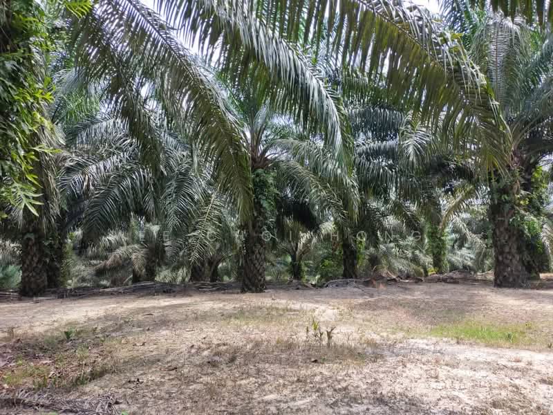 Keratong untuk Untuk Dijual - RM 18,178,560, Apr 2026 - Exterior - PropertyGuru.com.my