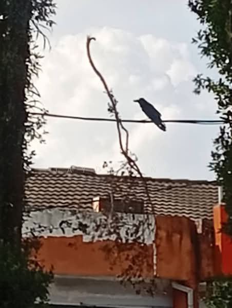 Shop for Sale in Taman Mount Austin (Tebrau) - Jayden Ng - Exterior - PropertyGuru.com.my