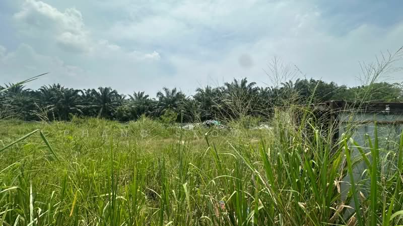 Industrial Land for Rent in Taman Tanjung Minyak Utama (Tanjong Minyak) - Phang Seow Ling - Exterior - PropertyGuru.com.my