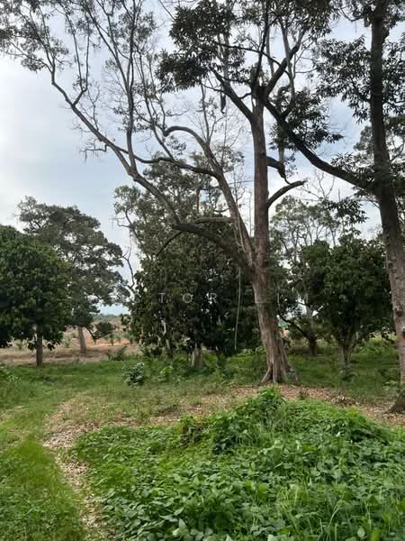 For Sale - Machap 6 Acres Land