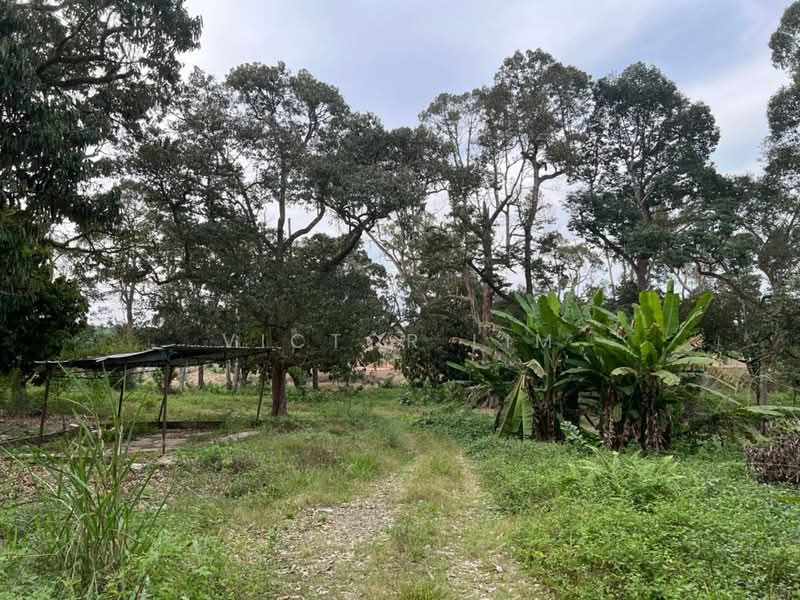 For Sale - Machap 6 Acres Land