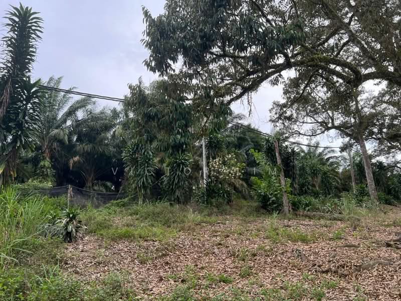 For Sale - Machap 6 Acres Land