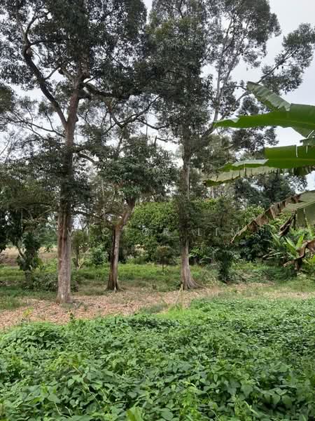 For Sale - Machap 6 Acres Land